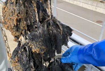 日本某食品厂废水处理工艺升级改造工程